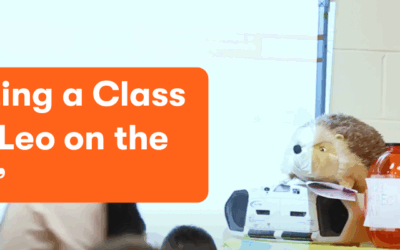 Creating a Class Pet: “Leo on the Shelf”
